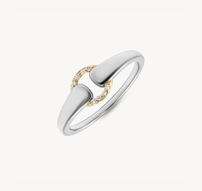 Two-Tone Buckle Ring