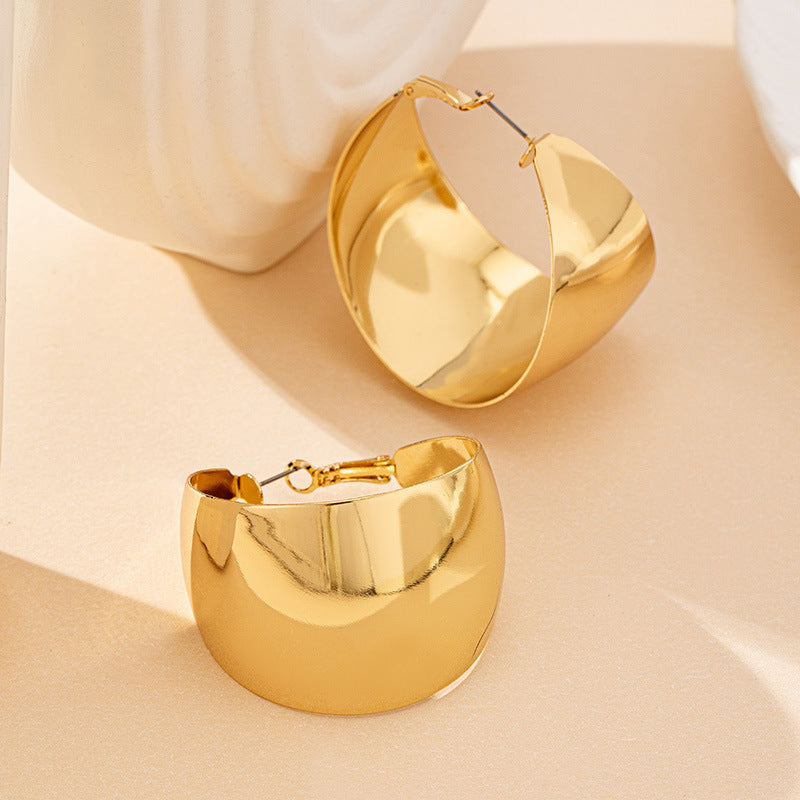 Chunky Twisted Hoop Earrings