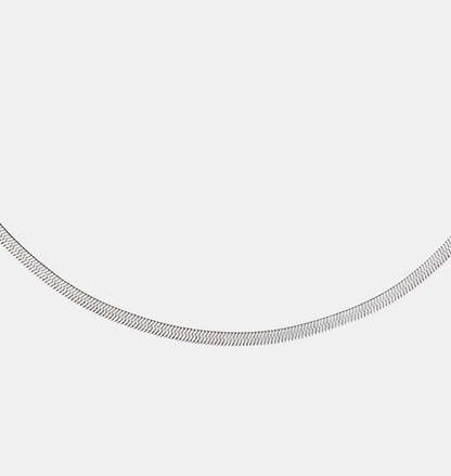 Sleek Herringbone Chain Necklace